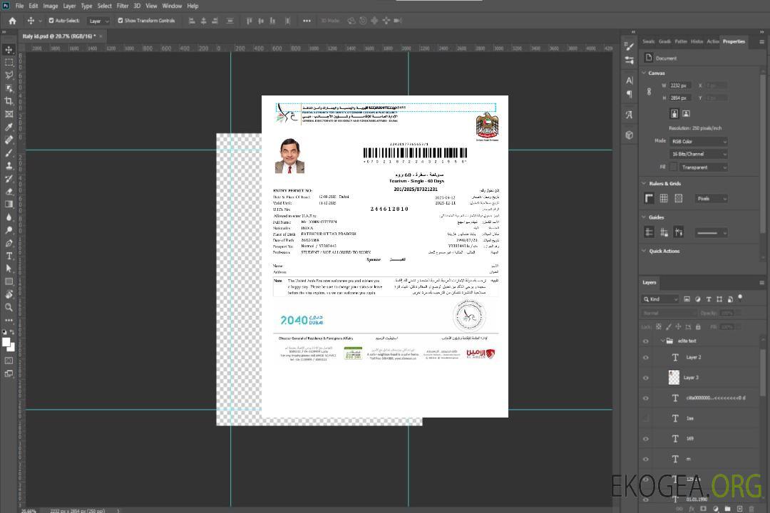 Modèle de visa électronique des Émirats arabes unis aux formats Word et PDF, version 3 template